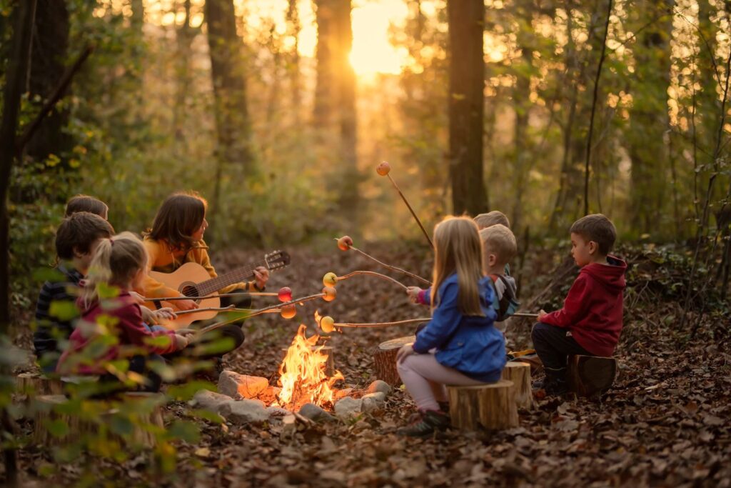 Od zaupanja do socializacije